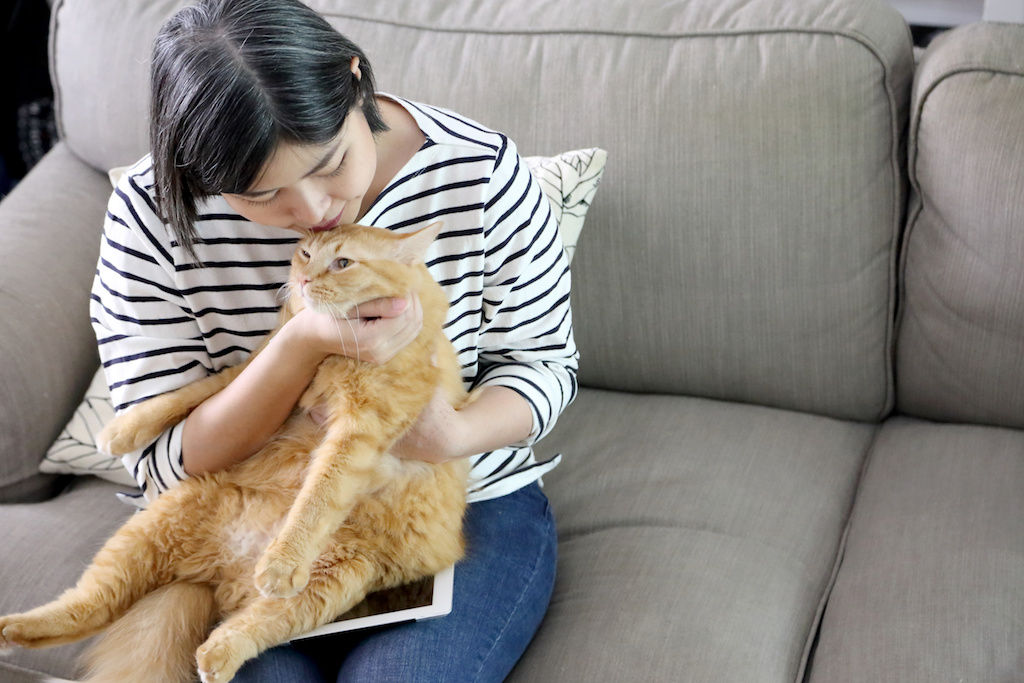 The Asian woman cuddles cat in the livingroom.